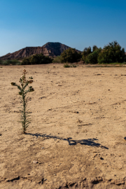 Spain - Monegros Desert