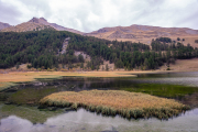 France - Lac des Sagnes