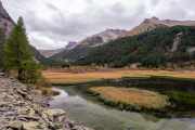 France - Lac des Sagnes