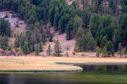 France - Lac des Sagnes