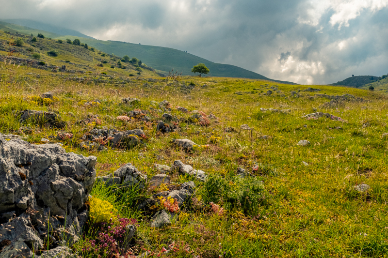 Bosnia and Herzegovina - Lukomir