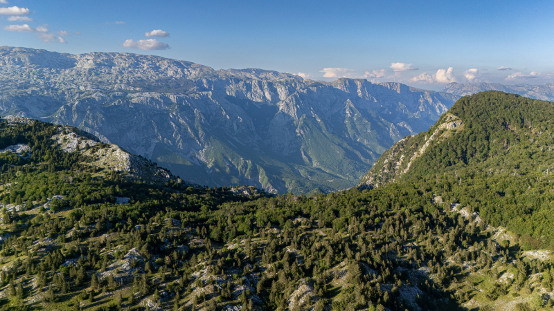 Bosnia and Herzegovina - Blidinje Nature Park