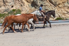 Argentinien - Patagonien - 7 Seen-Route (Ruta de los Siete Lagos)