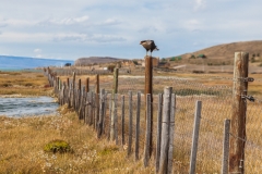 Argentinien - Patagonien - el calafate