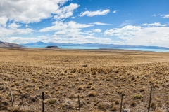 Argentinien - Patagonien - el calafate