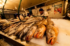 Chile - Stantiago - Fischmarkt