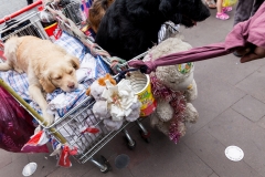 Chile - Stantiago - Innenstadt