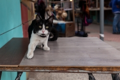 Chile - Stantiago - Innenstadt