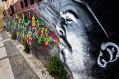 20161017-1517IMG_9273