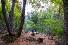 Chile - Nationalpark Siete Tazas