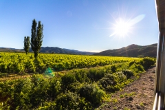 Chile - Constitucion und Buscarril