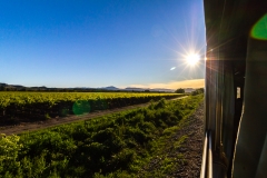 Chile - Constitucion und Buscarril