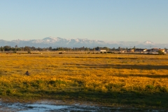 Chile - Constitucion und Buscarril