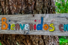 Chile - Rancho de Caballos - Palguin