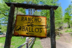 Chile - Rancho de Caballos - Palguin