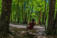 Chile - Rancho de Caballos - Palguin