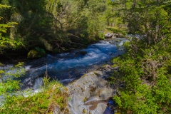 Chile - Rancho de Caballos - Palguin