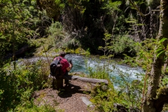 Chile - Rancho de Caballos - Palguin