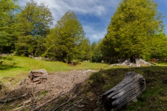 Chile - Rancho de Caballos - Palguin