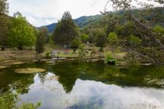 Chile - Rancho de Caballos - Palguin