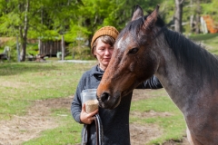 Chile - Rancho de Caballos - Palguin