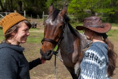 Chile - Rancho de Caballos - Palguin