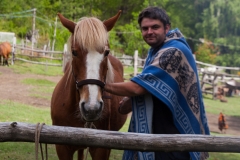Chile - Rancho de Caballos - Palguin