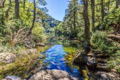 Chile - Nationalpark Huerquehue