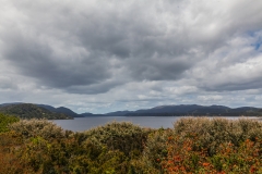 Chile - Chiloe - Nationalpark Chiloe