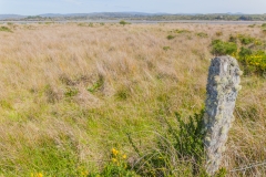 Chile - Chiloe - Ancud