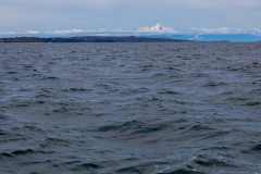 Chile - Chiloe - Isla Cailin