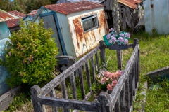 Chile - Chiloe - Isla Cailin