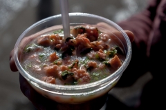 Chile - Patagonien - Puerto Montt