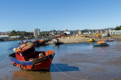 Chile - Patagonien - Puerto Montt - Isla Tenglo