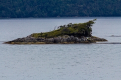 Chile - Patagonien - Mit der Navimag Fähre durch die Fjorde Patagonies