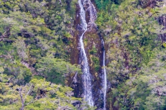 Chile - Patagonien - Mit der Navimag Fähre durch die Fjorde Patagonies