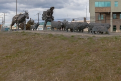 Chile - Patagonien - Punta Arenas