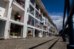 Chile - Patagonien - Punta Arenas