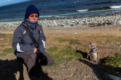 Chile - Patagonien - Punta Arenas - Isla Magdalena