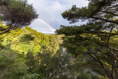 Neuseeland - Nordinsel - Ostküste - Tapeka