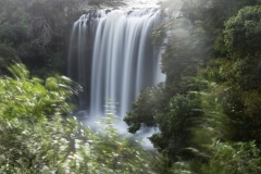 Neuseeland - Nordinsel - Ostküste - Tapeka