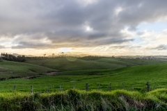 Neuseeland - Nordinsel - Ostküste - Tapeka