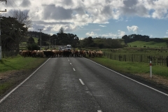 Neuseeland