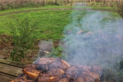 Neuseeland - Workaway bei James