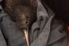 20170716-1602IMG_9660