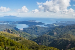 Neuseeland - Great Barrier Island - Mount Hobson