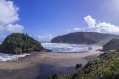 Neuseeland - Auckland Region - Waitakere Ranges - Bethells Beach