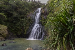 Neuseeland - Auckland Region - Waitakere Ranges - Kitekite Falls