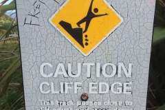 20170816-1415IMG_9928