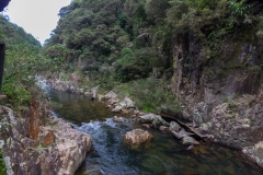 Neuseeland - Nordinsel - Karangahake